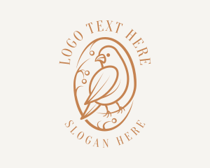 Avian - Bird Branch Aviary logo design