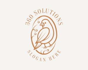 Bird Branch Aviary logo design