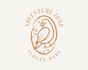 Bird Branch Aviary logo design