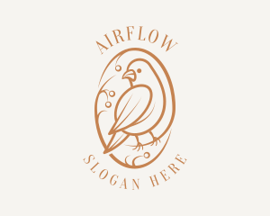 Bird Branch Aviary logo design