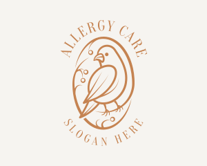 Bird Branch Aviary logo design