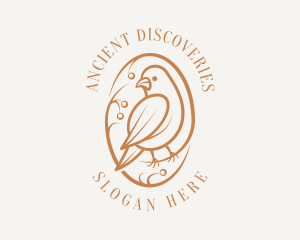 Bird Branch Aviary logo design