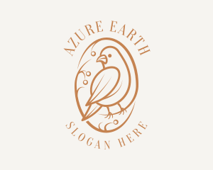 Bird Branch Aviary logo design