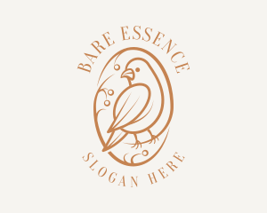 Bird Branch Aviary logo design