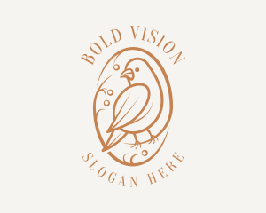 Bird Branch Aviary logo design