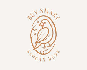 Bird Branch Aviary logo design