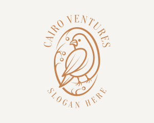 Bird Branch Aviary logo design