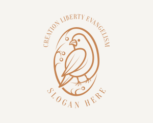 Bird Branch Aviary logo design