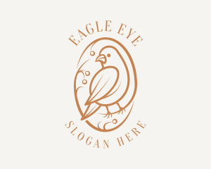 Bird Branch Aviary logo design