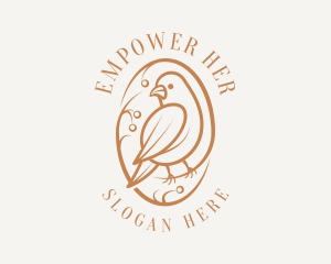 Bird Branch Aviary logo design