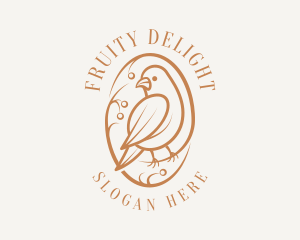 Bird Branch Aviary logo design