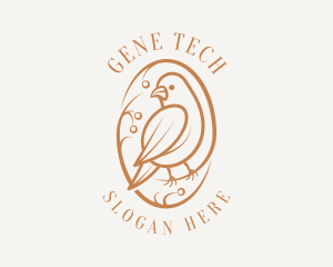 Bird Branch Aviary logo design