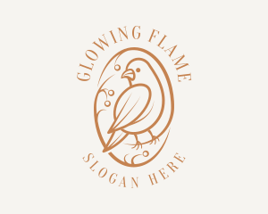 Bird Branch Aviary logo design