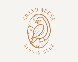 Bird Branch Aviary logo design