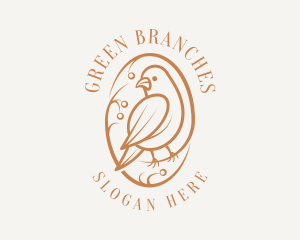 Bird Branch Aviary logo design