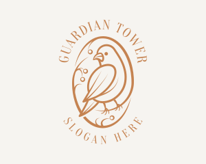 Bird Branch Aviary logo design