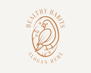 Bird Branch Aviary logo design