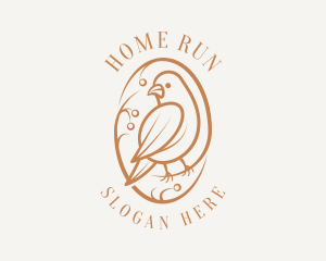 Bird Branch Aviary logo design