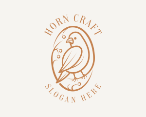 Bird Branch Aviary logo design