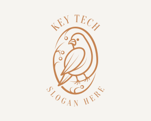 Bird Branch Aviary logo design