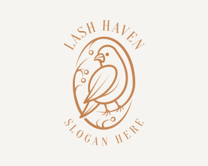 Bird Branch Aviary logo design