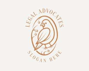 Bird Branch Aviary logo design