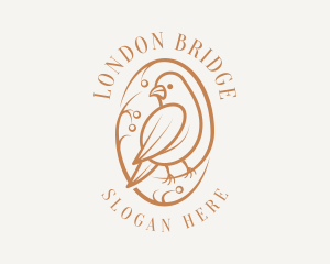 Bird Branch Aviary logo design