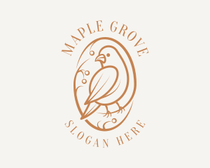 Bird Branch Aviary logo design