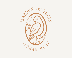 Bird Branch Aviary logo design