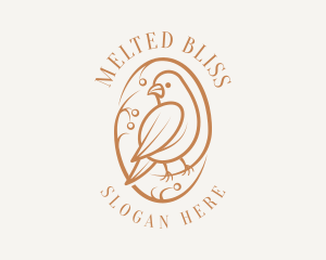 Bird Branch Aviary logo design