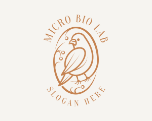 Bird Branch Aviary logo design