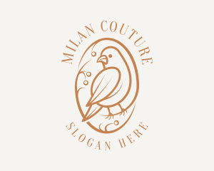 Bird Branch Aviary logo design