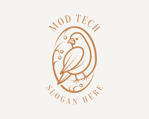 Bird Branch Aviary logo design