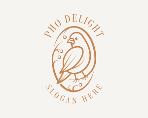 Bird Branch Aviary logo design