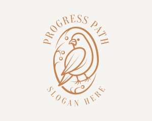 Bird Branch Aviary logo design