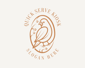 Bird Branch Aviary logo design