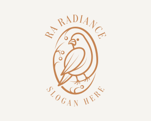 Bird Branch Aviary logo design