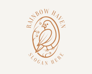 Bird Branch Aviary logo design