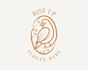 Bird Branch Aviary logo design