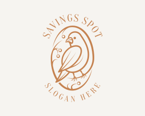 Bird Branch Aviary logo design