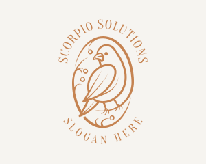 Bird Branch Aviary logo design