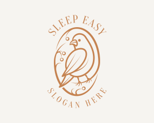 Bird Branch Aviary logo design