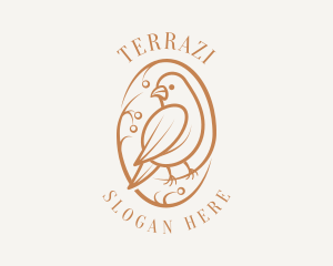 Bird Branch Aviary logo design