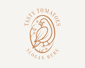 Bird Branch Aviary logo design