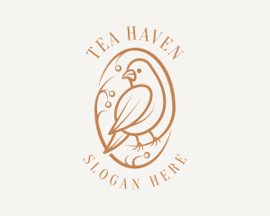 Bird Branch Aviary logo design