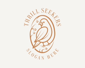 Bird Branch Aviary logo design