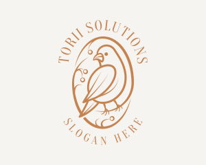 Bird Branch Aviary logo design