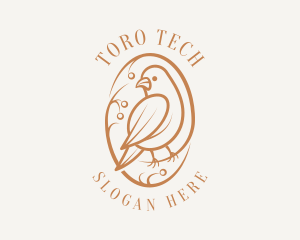 Bird Branch Aviary logo design