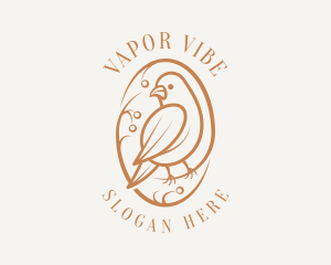 Bird Branch Aviary logo design