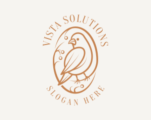 Bird Branch Aviary logo design